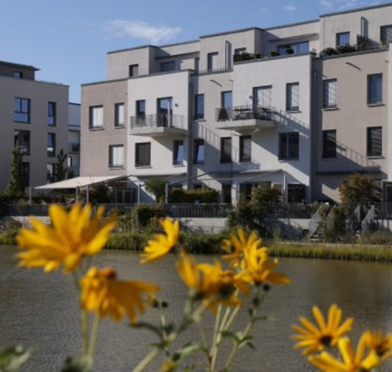 Water News Blog - Blue Community Schools