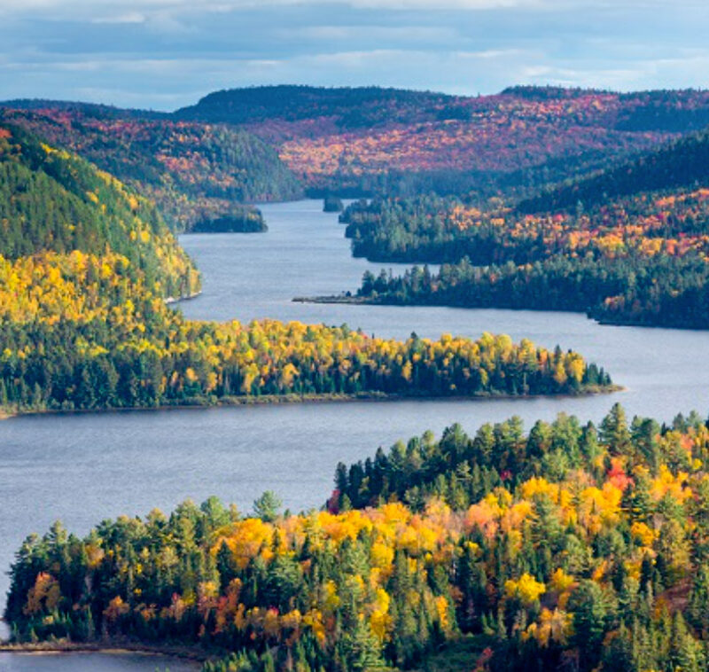 Water News Blog - Blue Community Schools