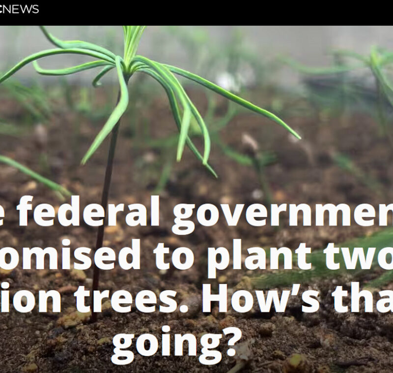 Water News Blog - Blue Community Schools