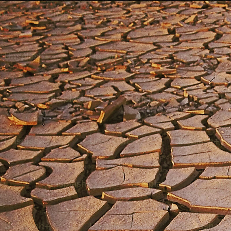 Water News Blog - Blue Community Schools