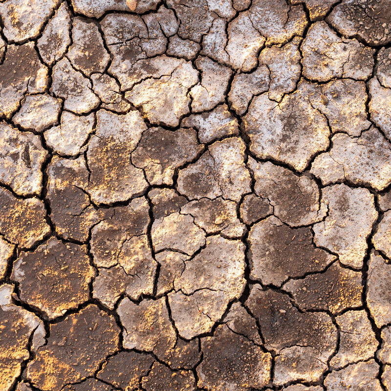 Water News Blog - Blue Community Schools