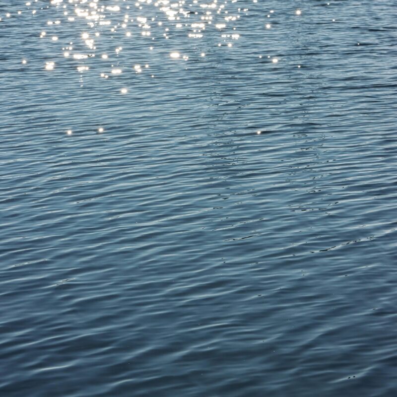 BlueCommunitySchools_Blog