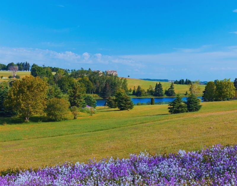 PEI countryside river