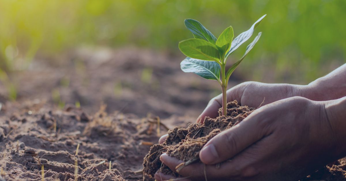 How the Rights of Nature can Advance Canadian Sovereignty and Well-Being