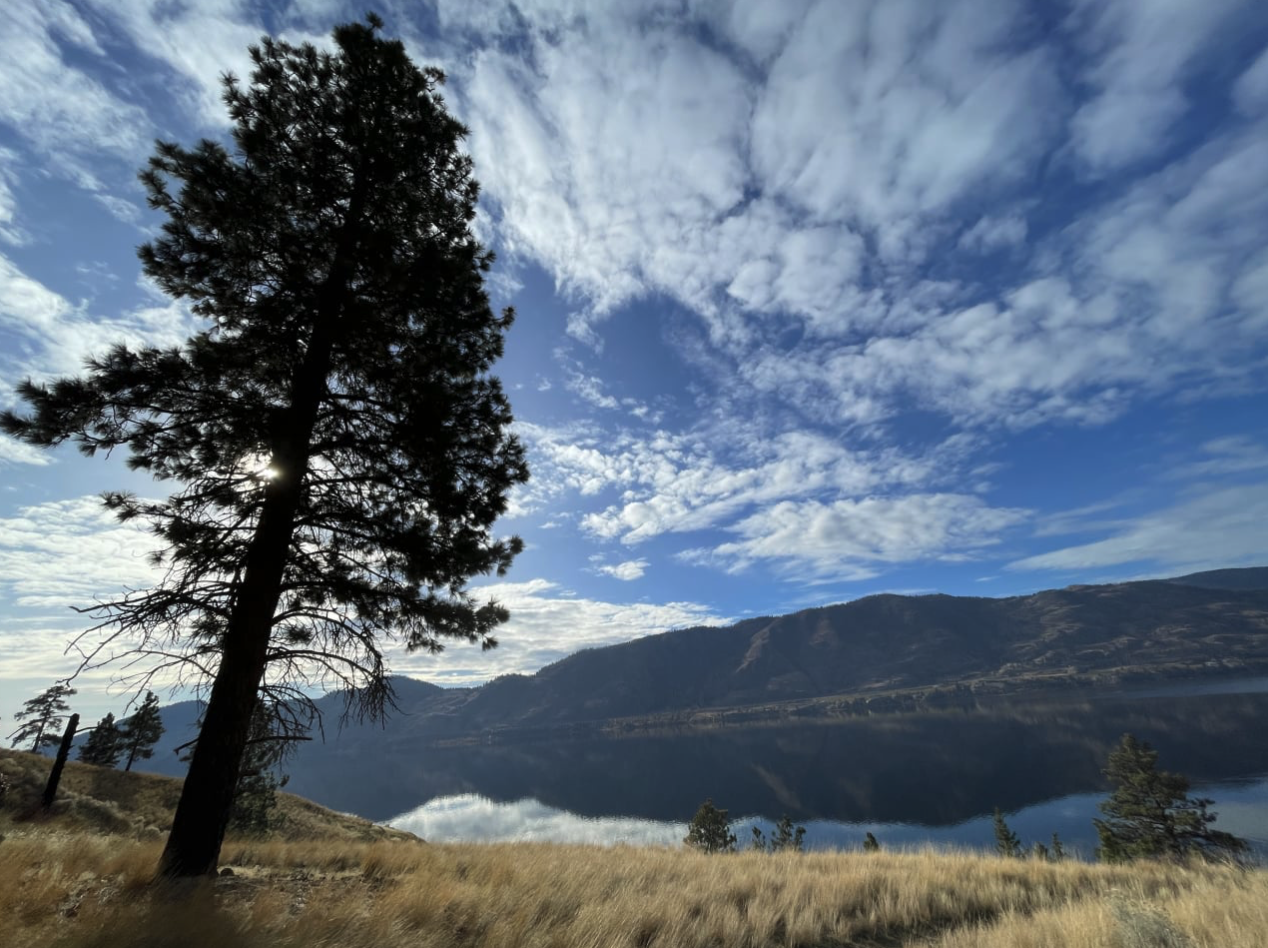 In the Okanagan, Local Leaders Brace for A Record Drought